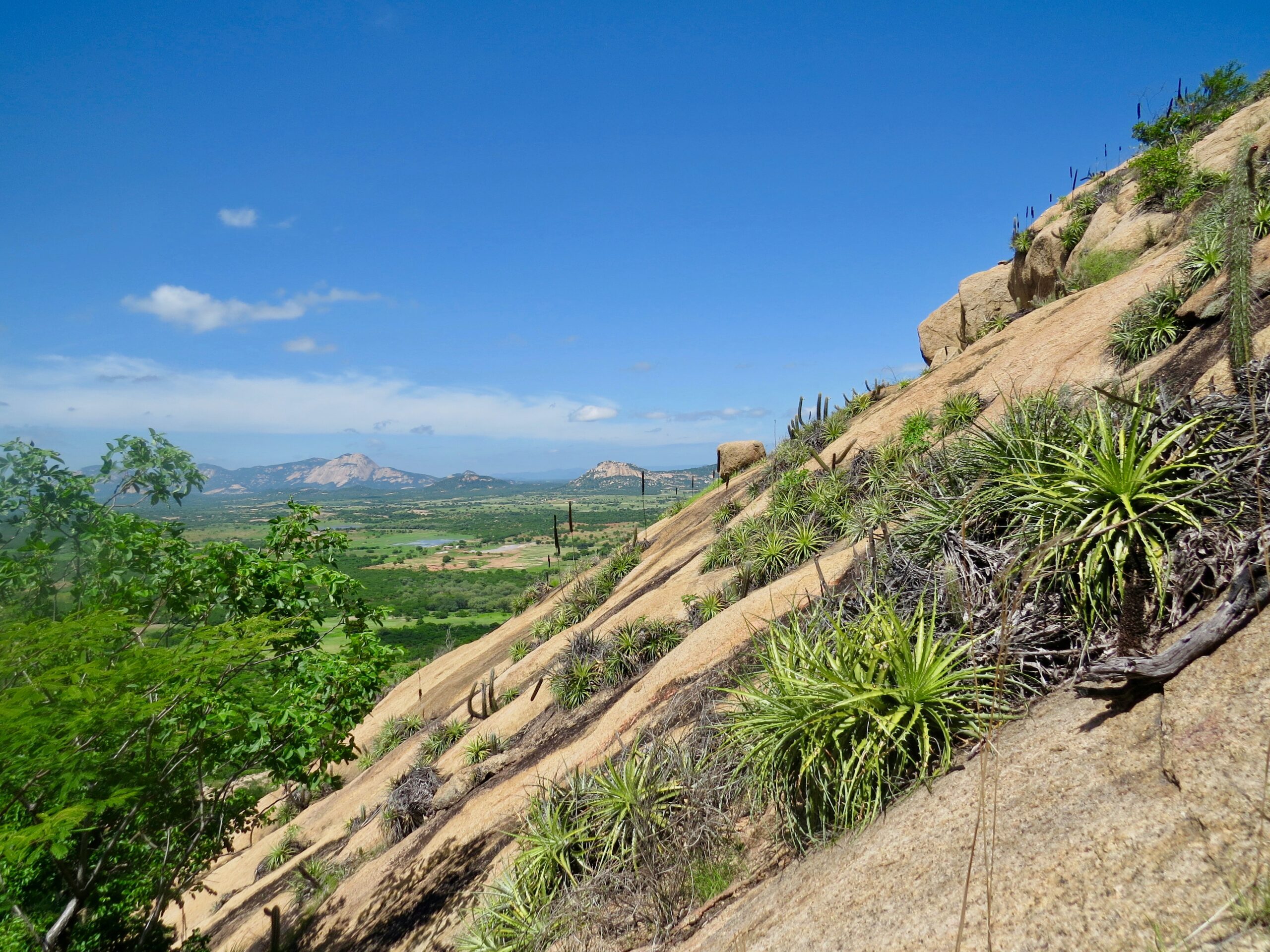 Sistema de monitoramento da caatinga – EMBRAPA